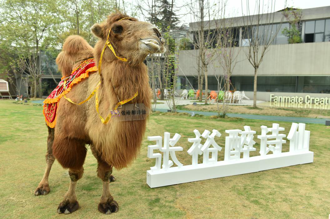 2018張?jiān)Ｗ碓?shī)仙微醺大賞